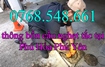 0768.548.661 thông bồn cầu nghẹt tắc tại Phú Hòa Phú Yên giá rẻ nhất