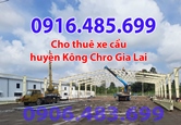 Cho thuê xe cẩu tại Kông Chro Gia Lai