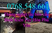 Thông nghẹt tắc bồn cầu Bình Kiến Tuy Hòa Phú Yên – Chât Lượng Giá Rẻ