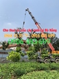 0906.483.699 Cho thuê xe cẩu Cây Xanh Đà Nẵng - Cho thuê xe cẩu Cây Cảnh tại Đà Nẵng