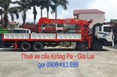 Thuê xe cẩu Krông Pa Gia Lai gọi 0906.483.699 - Xe cẩu Krongpa