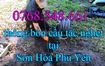 0768.548.661 - Thông bồn cầu tắc nghẹt tại Sơn Hòa Phú Yên – Uy Tín Nhất